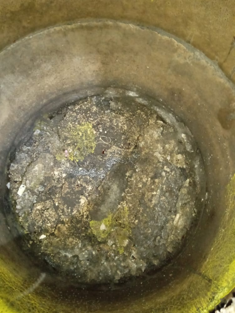 WhatsApp Image 2021-09-17 at 7.35.25 PM