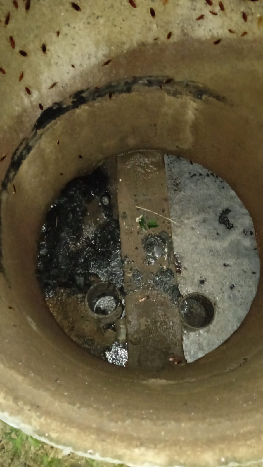 WhatsApp Image 2021-09-17 at 7.35.31 PM