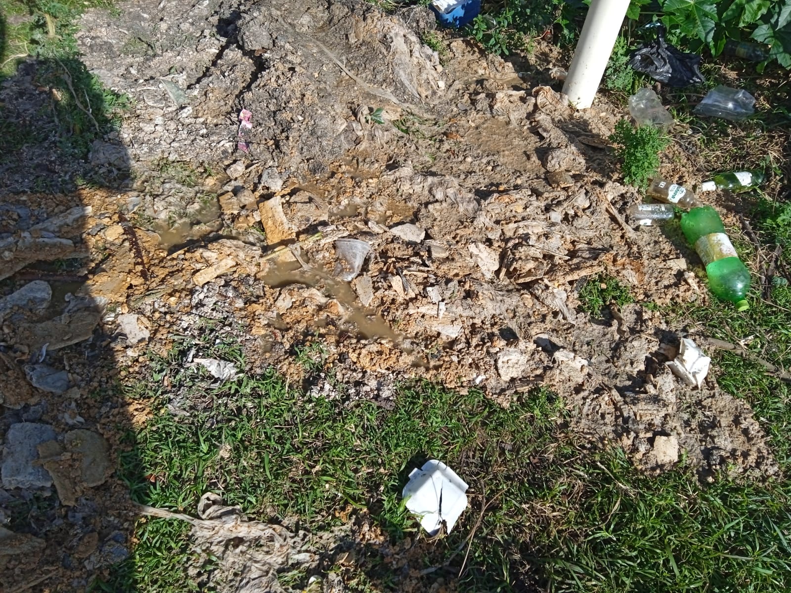 WhatsApp Image 2021-09-18 at 8.53.05 AM (4)