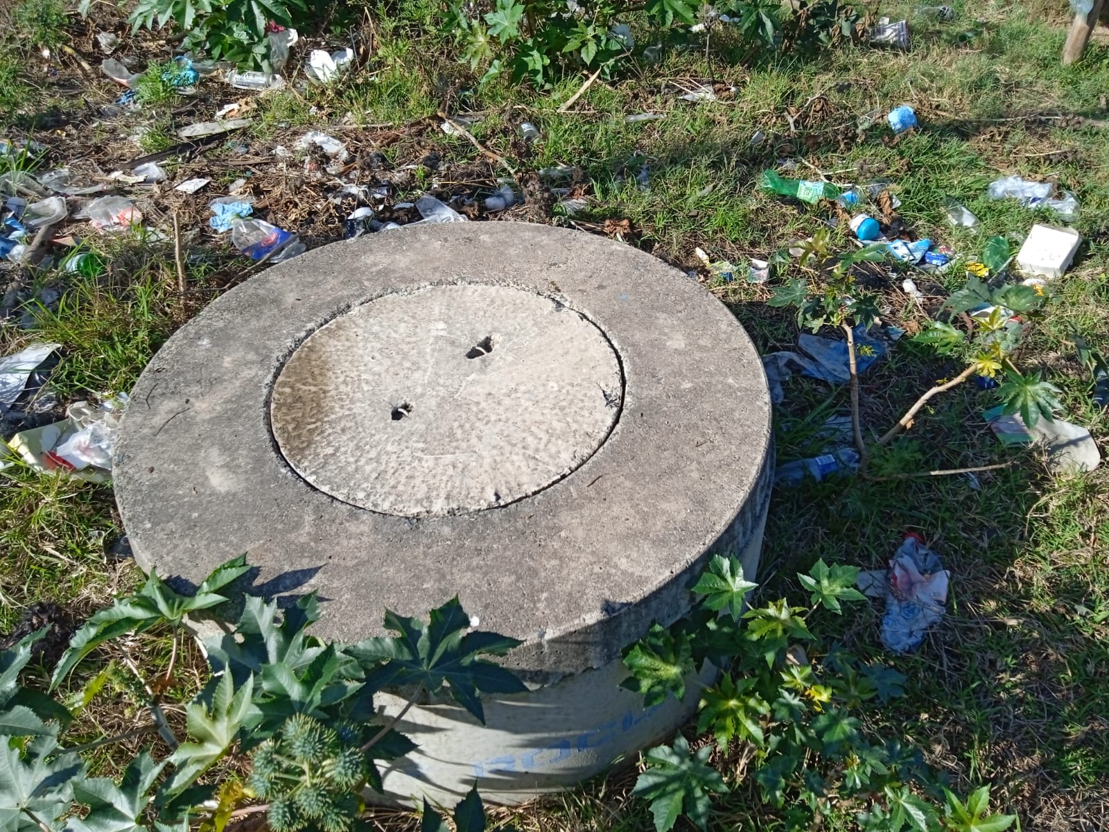 WhatsApp Image 2021-09-18 at 8.53.06 AM (3)