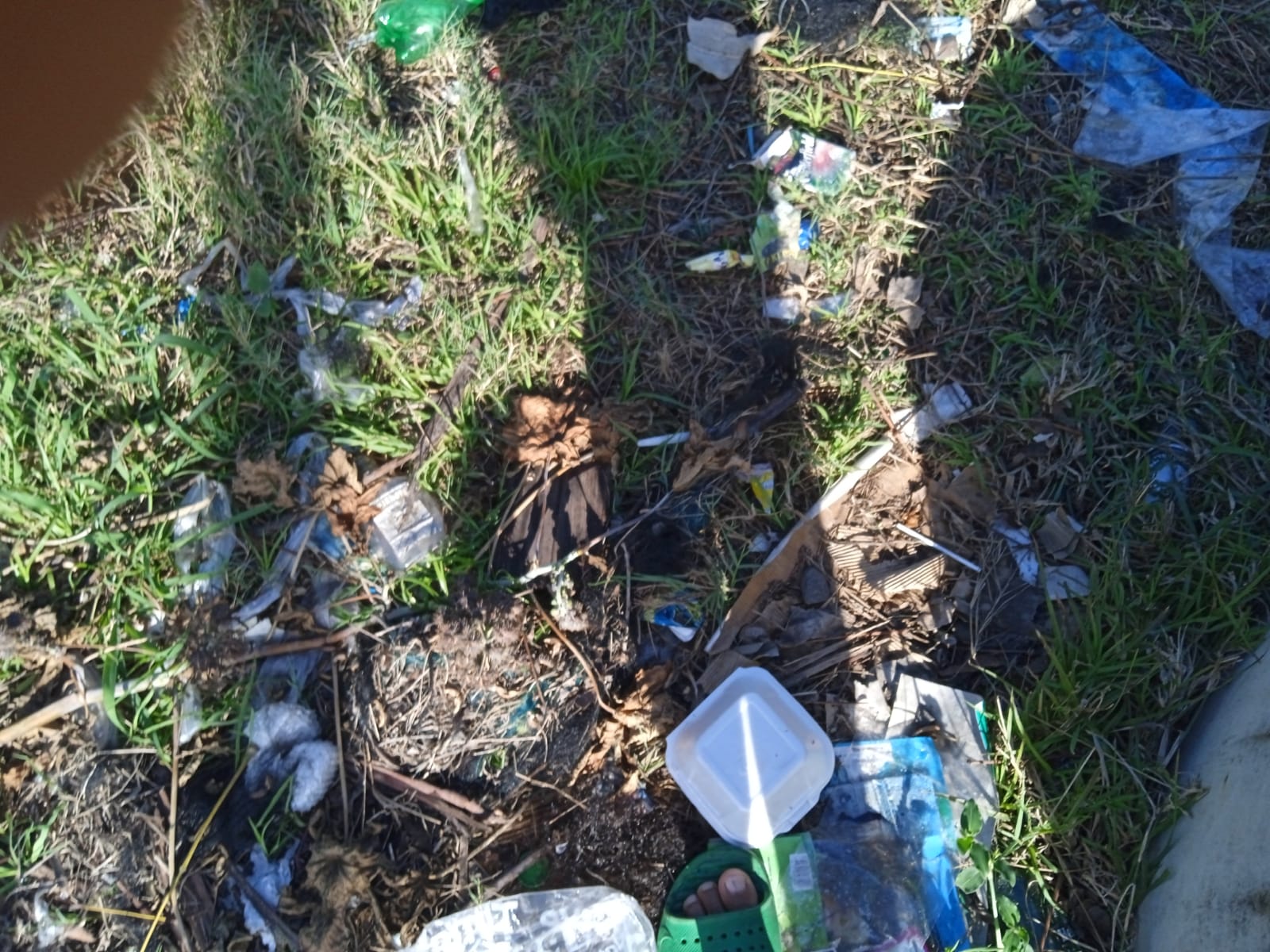 WhatsApp Image 2021-09-18 at 8.53.07 AM