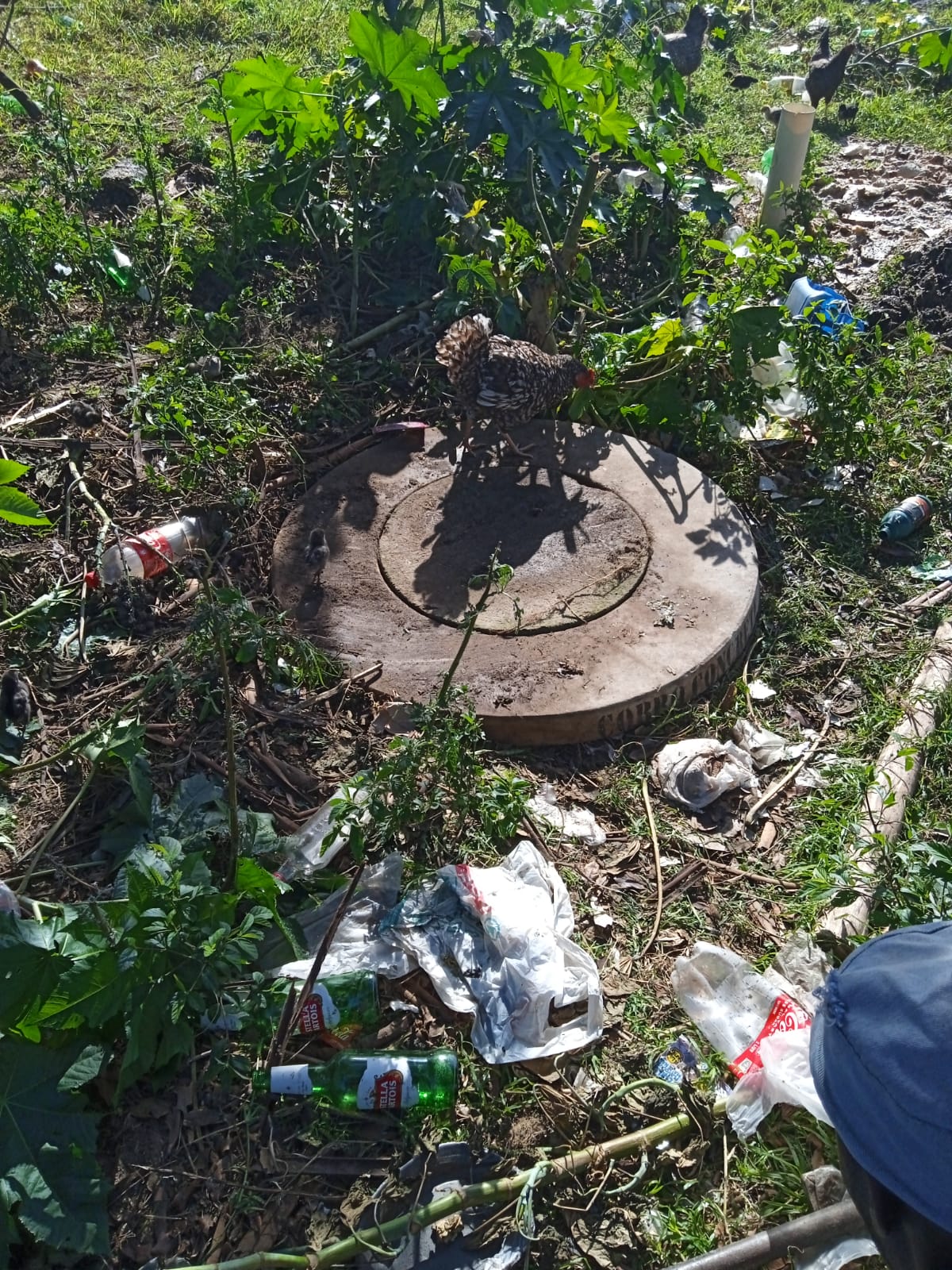 WhatsApp Image 2021-09-18 at 8.53.08 AM